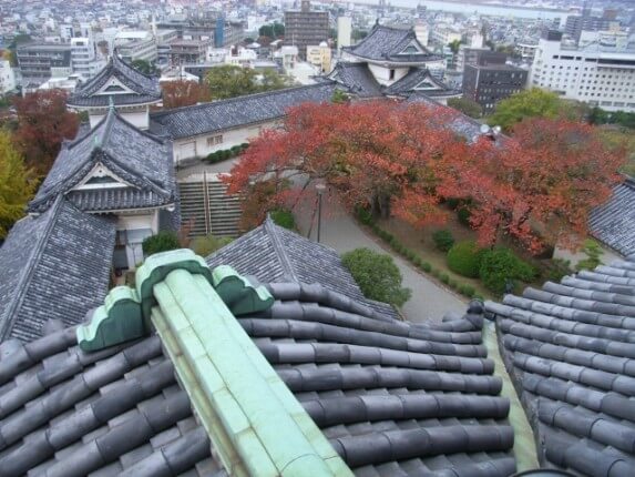 和歌山城の紅葉